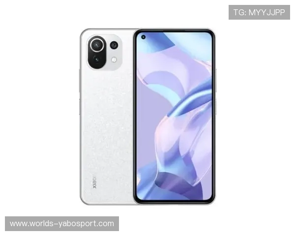 亚搏vip登录入口：最新版本登录入口功能升级带来更流畅的操作体验与丰富的娱乐内容